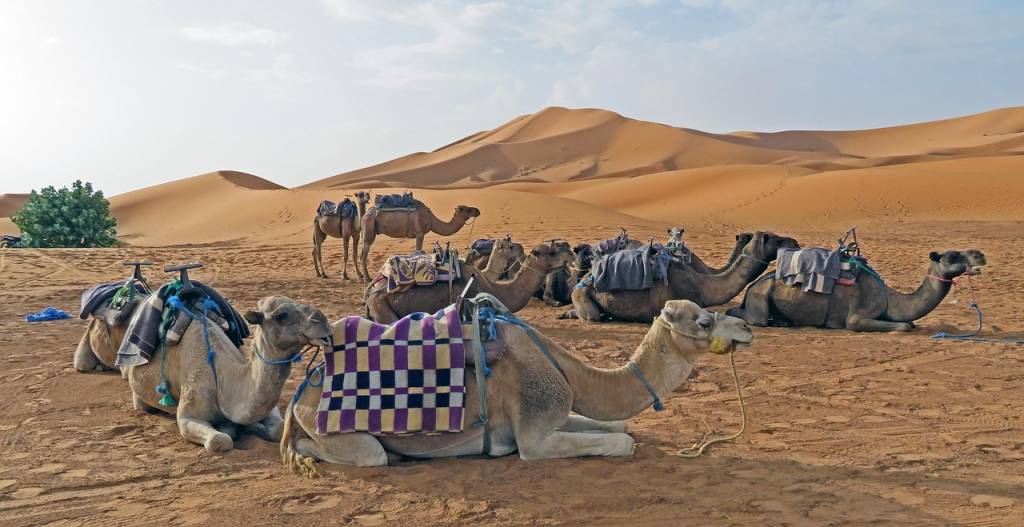 Quand partir dans le désert rouge d'Algérie : climat, saisons et conseils pratiques