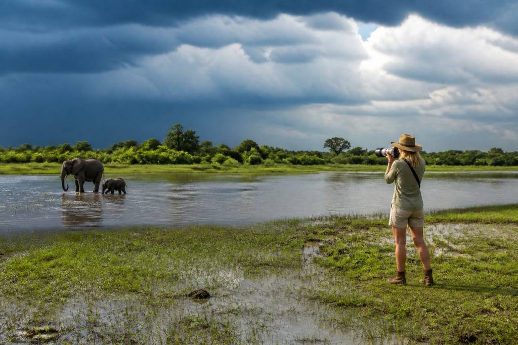 Botswana en janvier : météo, saison des pluies et conseils de voyage